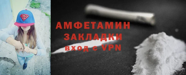 ГАЛЛЮЦИНОГЕННЫЕ ГРИБЫ Вяземский