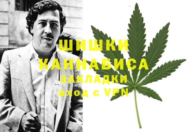ГАЛЛЮЦИНОГЕННЫЕ ГРИБЫ Вяземский