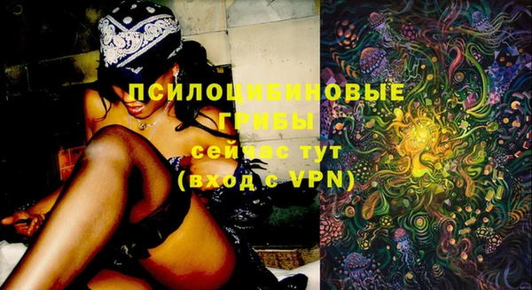 ПСИЛОЦИБИНОВЫЕ ГРИБЫ Володарск